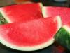 Целебные свойства и витаминный состав арбуза − поможет ли самая большая ягода для похудения?