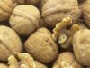 Настойка на грецких орехах: применение и рецепты